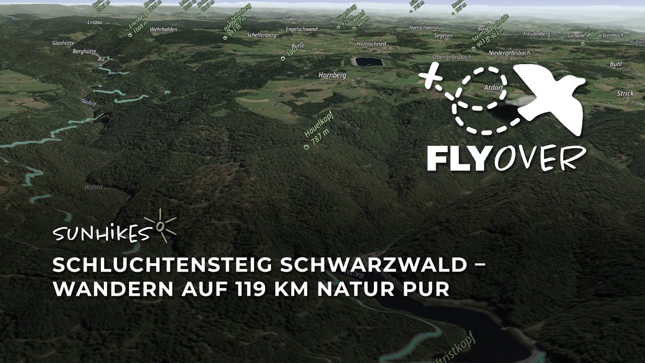 Schluchtensteig im Schwarzwald – Flyover