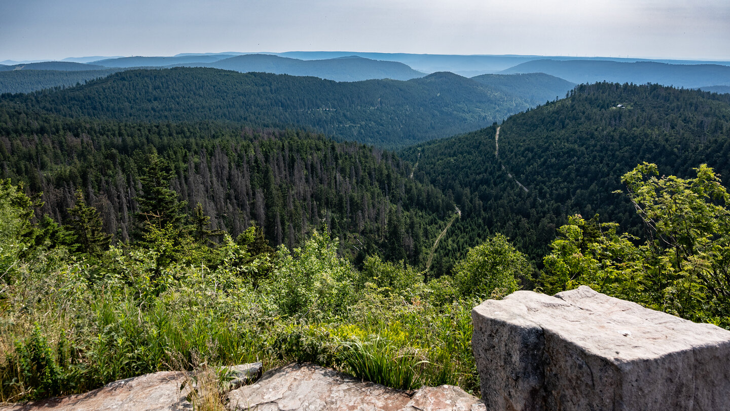 Ausblick von der Hornisgrinde