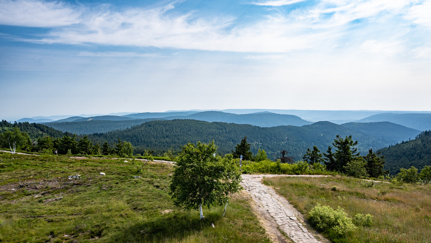 Ausblick vom Bismarckturm über die Hornisgrinde