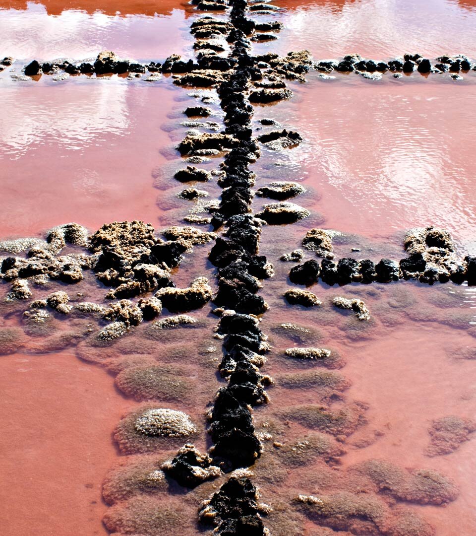 das salzhaltige Meerwasser färbt sich rötlich in den Salinas de Agujeros auf Lanzarote das salzhaltige Meerwasser färbt sich rötlich in den Salinas de Agujeros