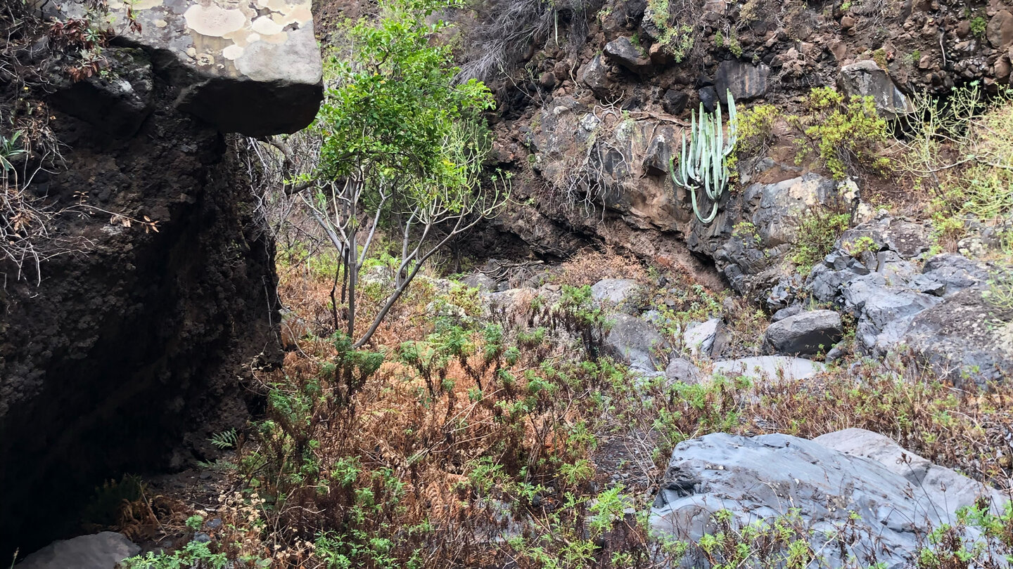 Wanderweg durchs Bachbett des Barranco de Fagundo