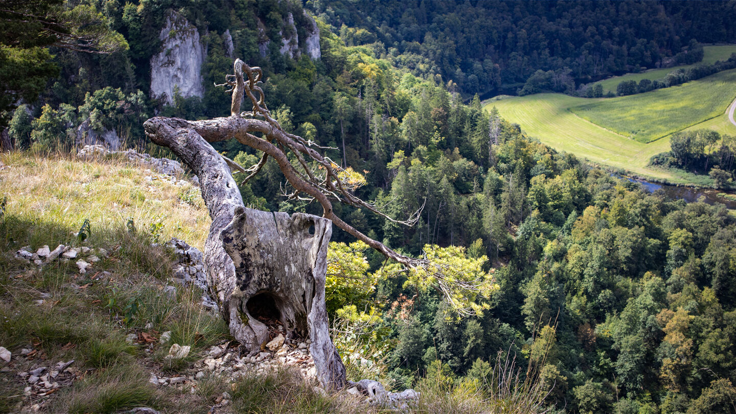 Bandfelsen