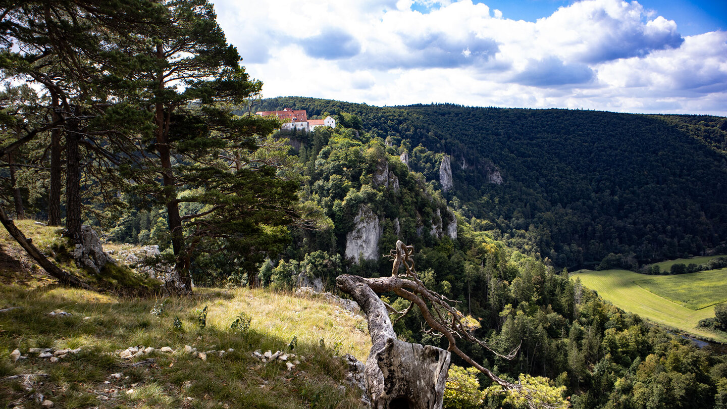 Blick vom Bandfelsen auf Burg Wildenstein