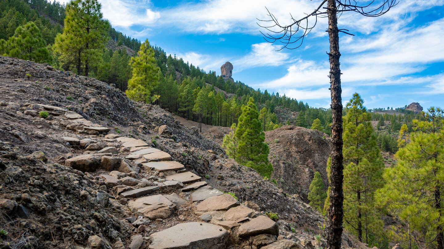Blick auf den Roque Nublo Blick auf den Roque Nublo
