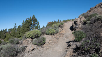 Wanderweg aus der Schlucht Barranco del Nublo