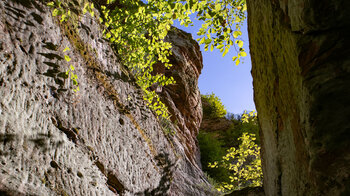 die Ruine der Felsburg Froensburg