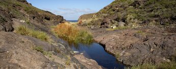 Wasserbecken in der Schlucht Barranco de Afur bei der Playa de Tamadite im Anaga-Gebirge
