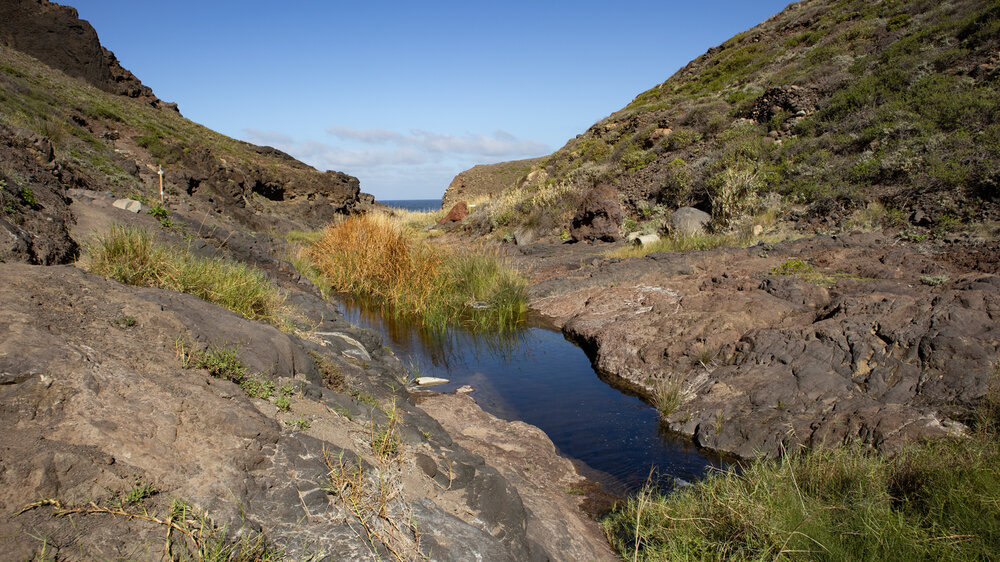 Wasserbecken in der Schlucht Barranco de Afur bei der Playa de Tamadite im Anaga-Gebirge
