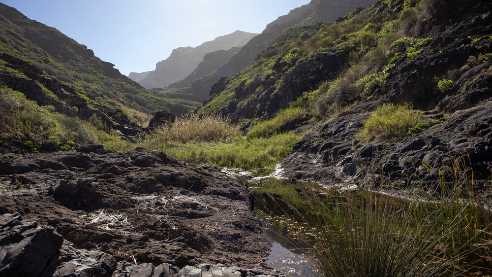 Bachlauf in der Schlucht Barranco de Afur im Anaga Gebirge - Teneriffa