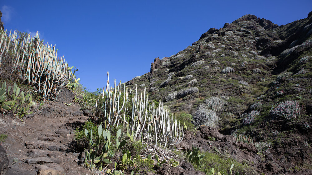 Wanderpfad führt auf- und ab - felsige Schlucht Barranco de Afur