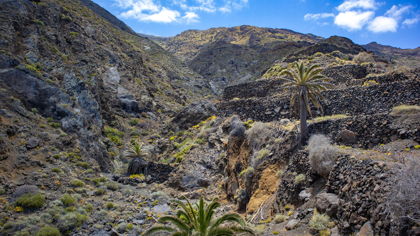 Blick auf meterhohe Terrassen oberhalb des Barranco de los Balos