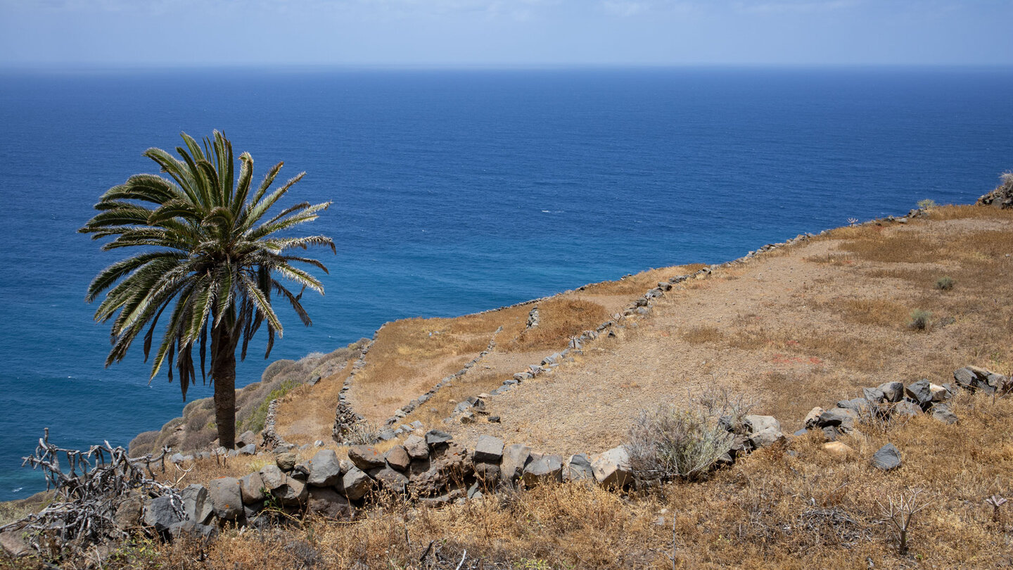 Wanderweg entlang Terrassenfeldern