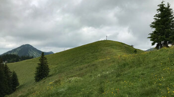 Wiesen am Rosskopf in den Bayerischen Voralpen