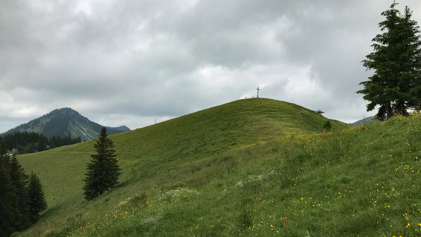 Wiesen am unbewaldeten Rosskopf in den Bayerischen Voralpen Wiesen am Rosskopf in den Bayerischen Voralpen