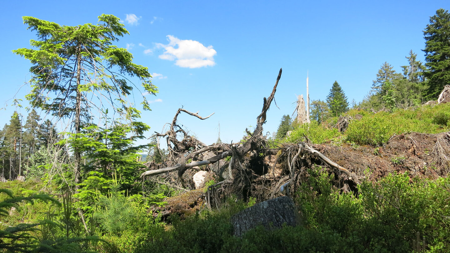 Wanderung zum Huzenbacher See