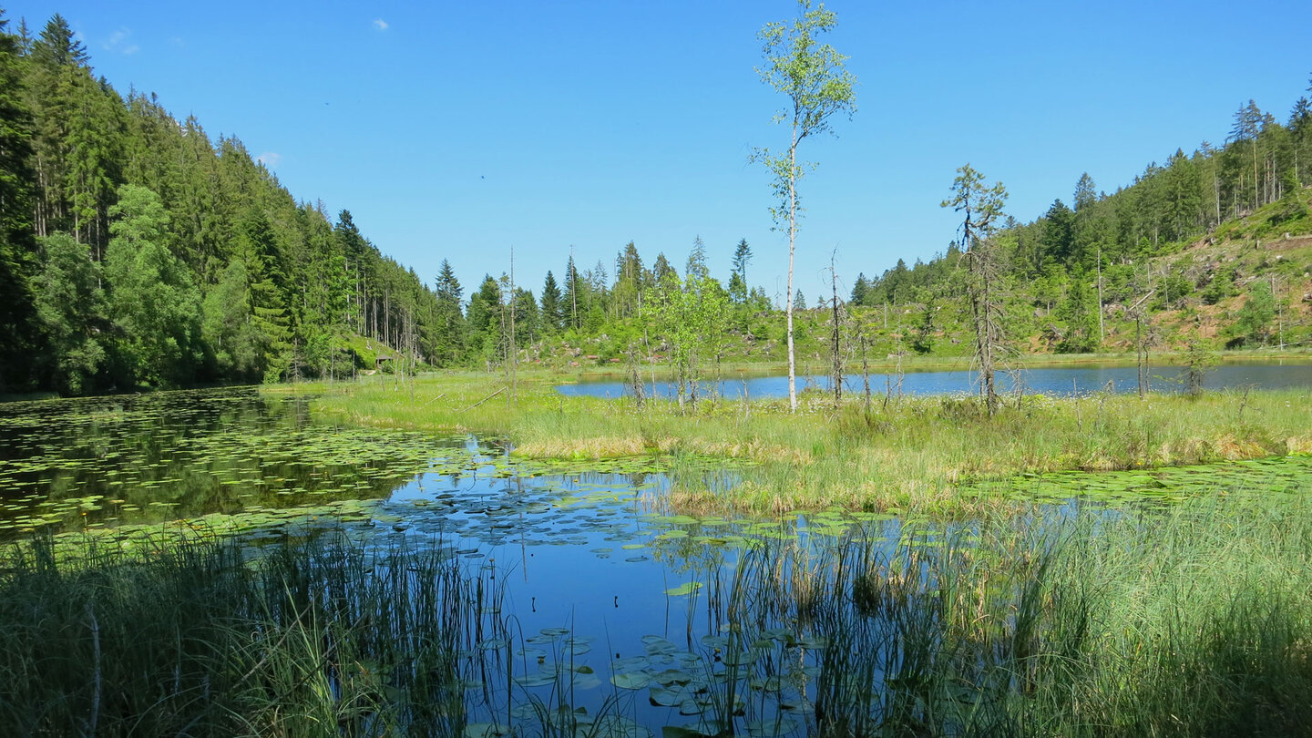 der Huzenbacher See mit Schwingrasenflächen