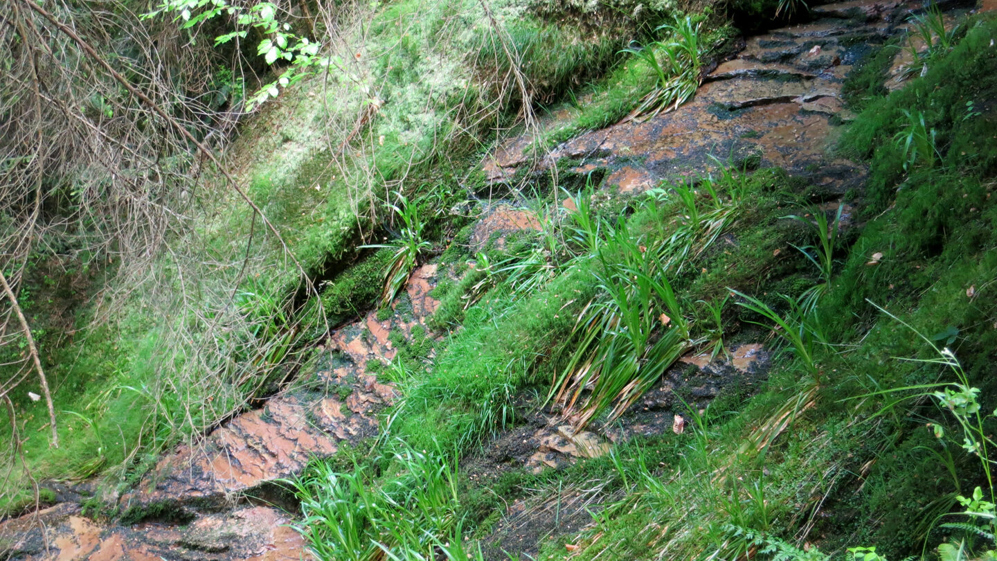 der Seitenbach-Wasserfall liegt am Weg zum Seeblick