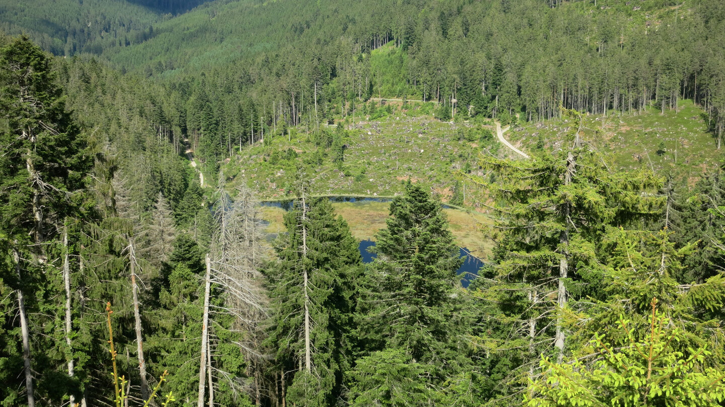 Ausblick auf den Huzenbacher See beim Aufstieg