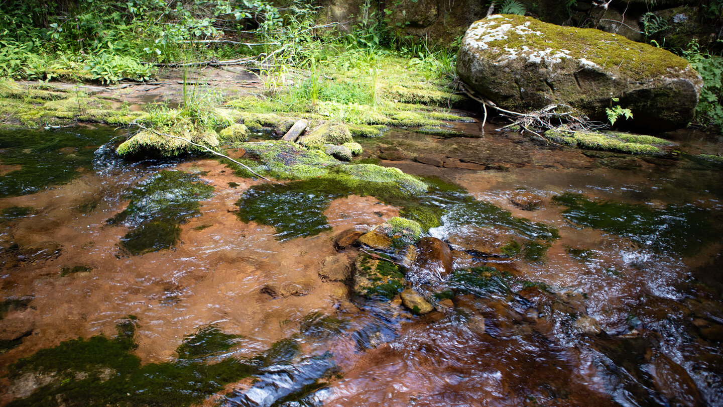 An der Furt im Tonbachtal