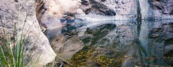 Spiegelung im Wasserbecken des Charco Azul