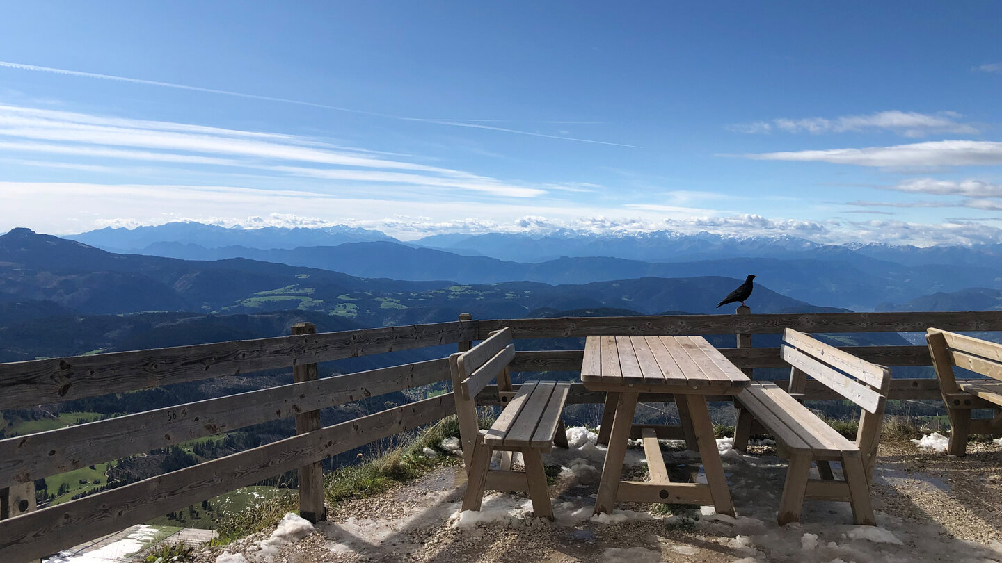 Alpenpanorama mit einem hungrigen Gast auf der Kölner Hütte Alpenpanorama auf der Kölner Hütte