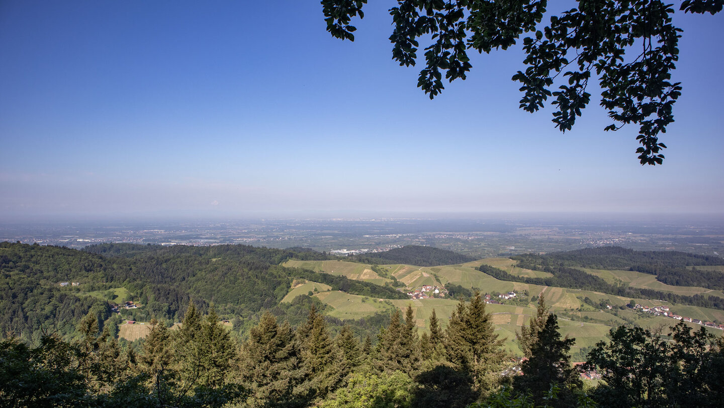Ausblick vom Bürstenstein in die Rheinbene