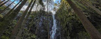 der Burgbachwasserfall im Wald des Wolftals