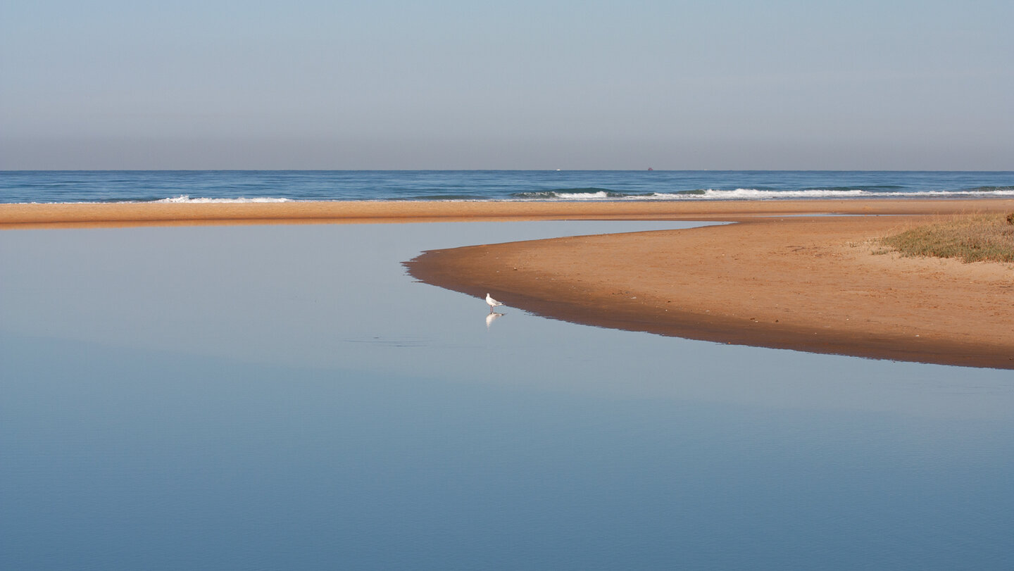 Playa de Castilnovo bei Conil | © Sunhikes