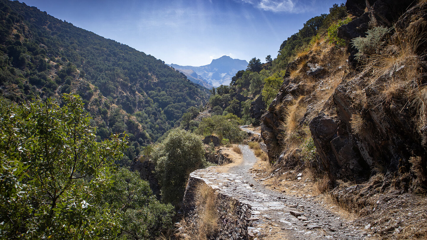 Wanderung entlang der Vereda de la Estrella | © Sunhikes