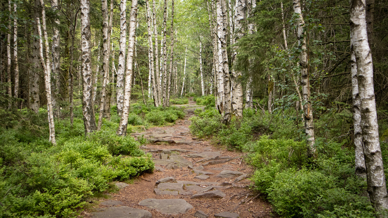 malerischer Wanderweg bei der Teufelsmühle | © Sunhikes