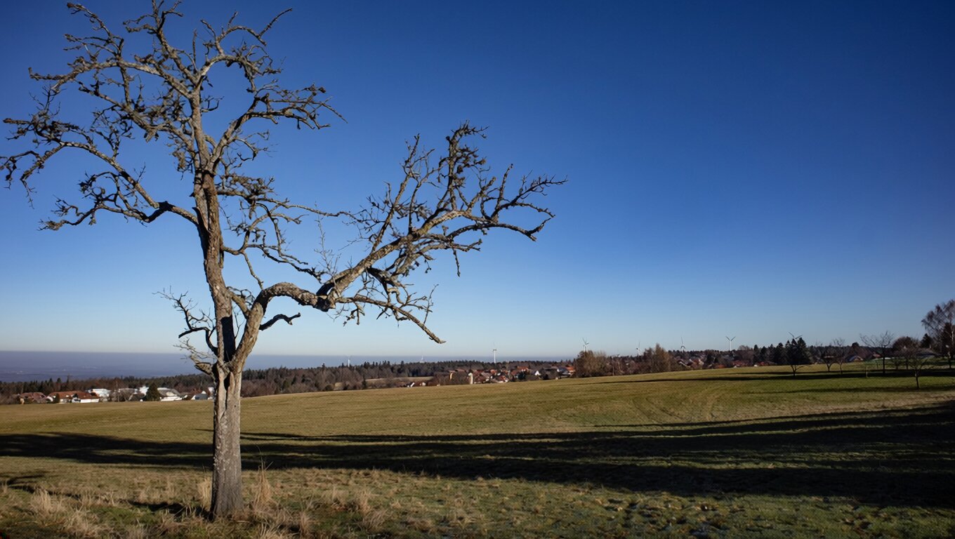 Fernblick von Dobel | © Sunhikes