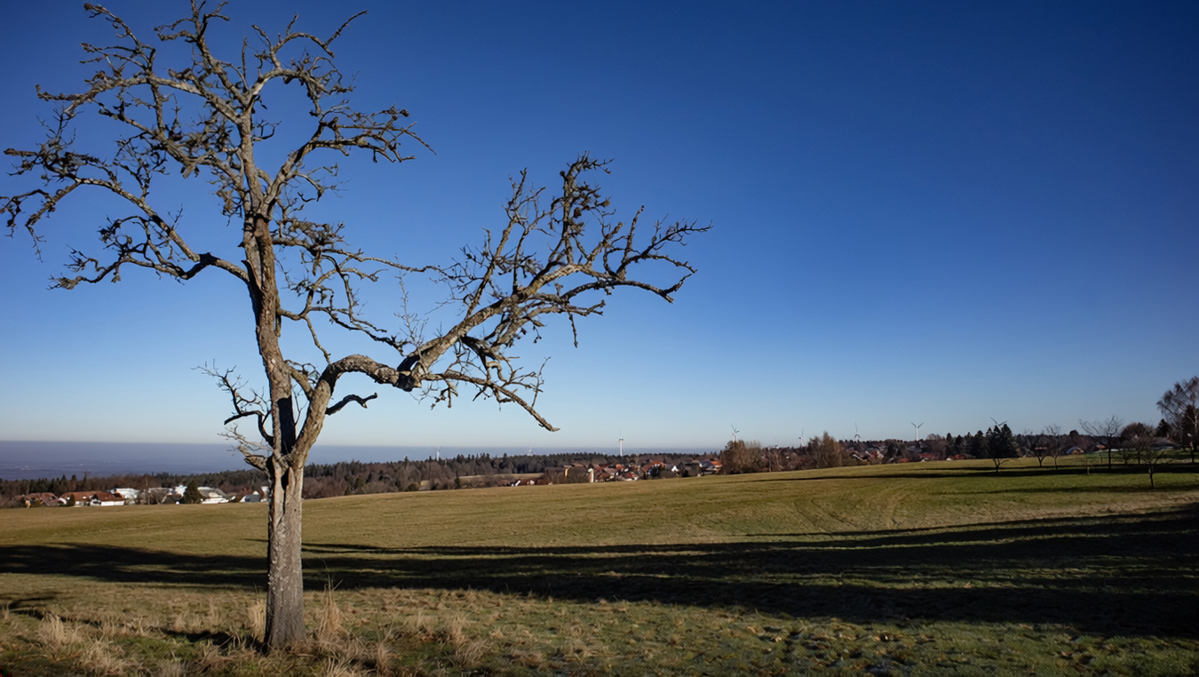 Fernblick von Dobel | © Sunhikes