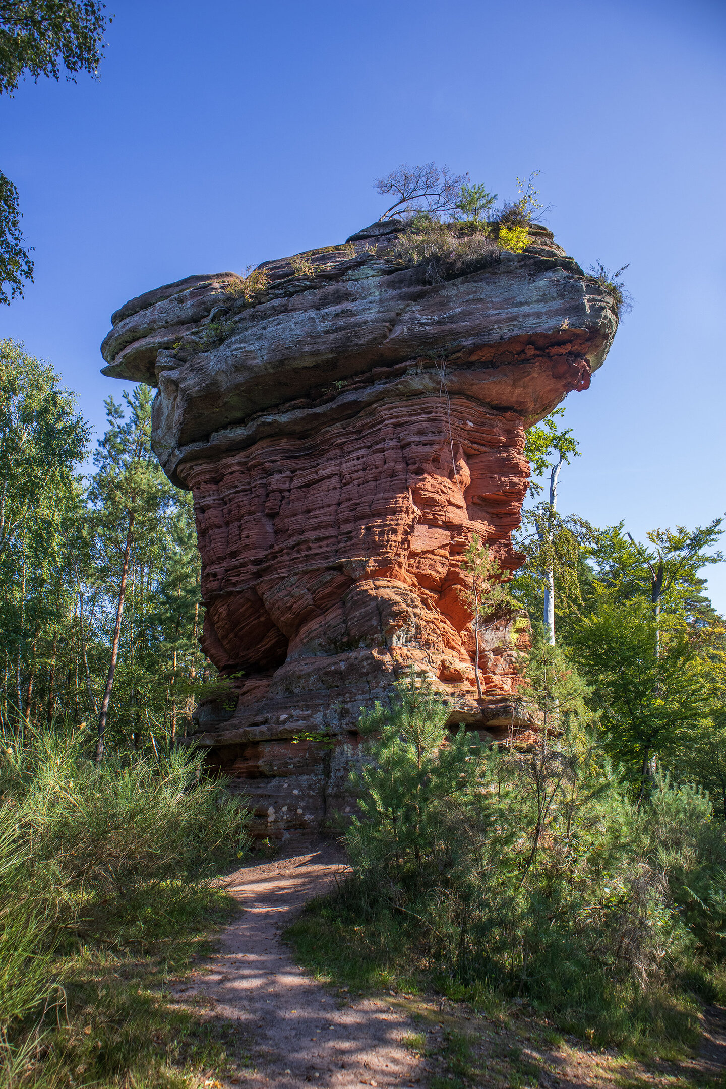 der Eppenbrunner Teufelstisch | © Sunhikes