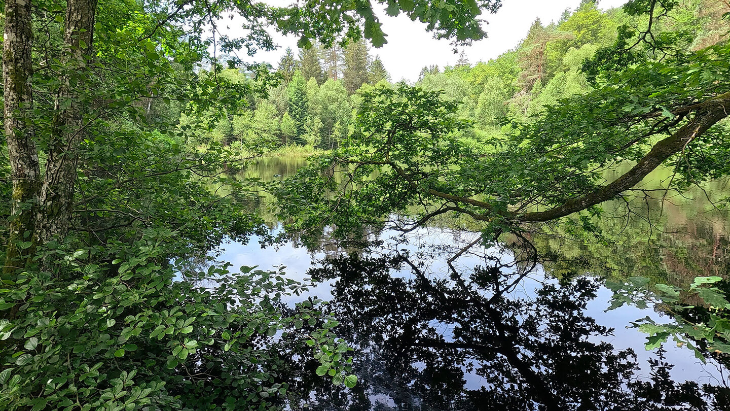 der Spießweier bei Eppenbrunn | © Sunhikes