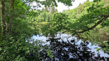 der Spießweier bei Eppenbrunn | © Sunhikes