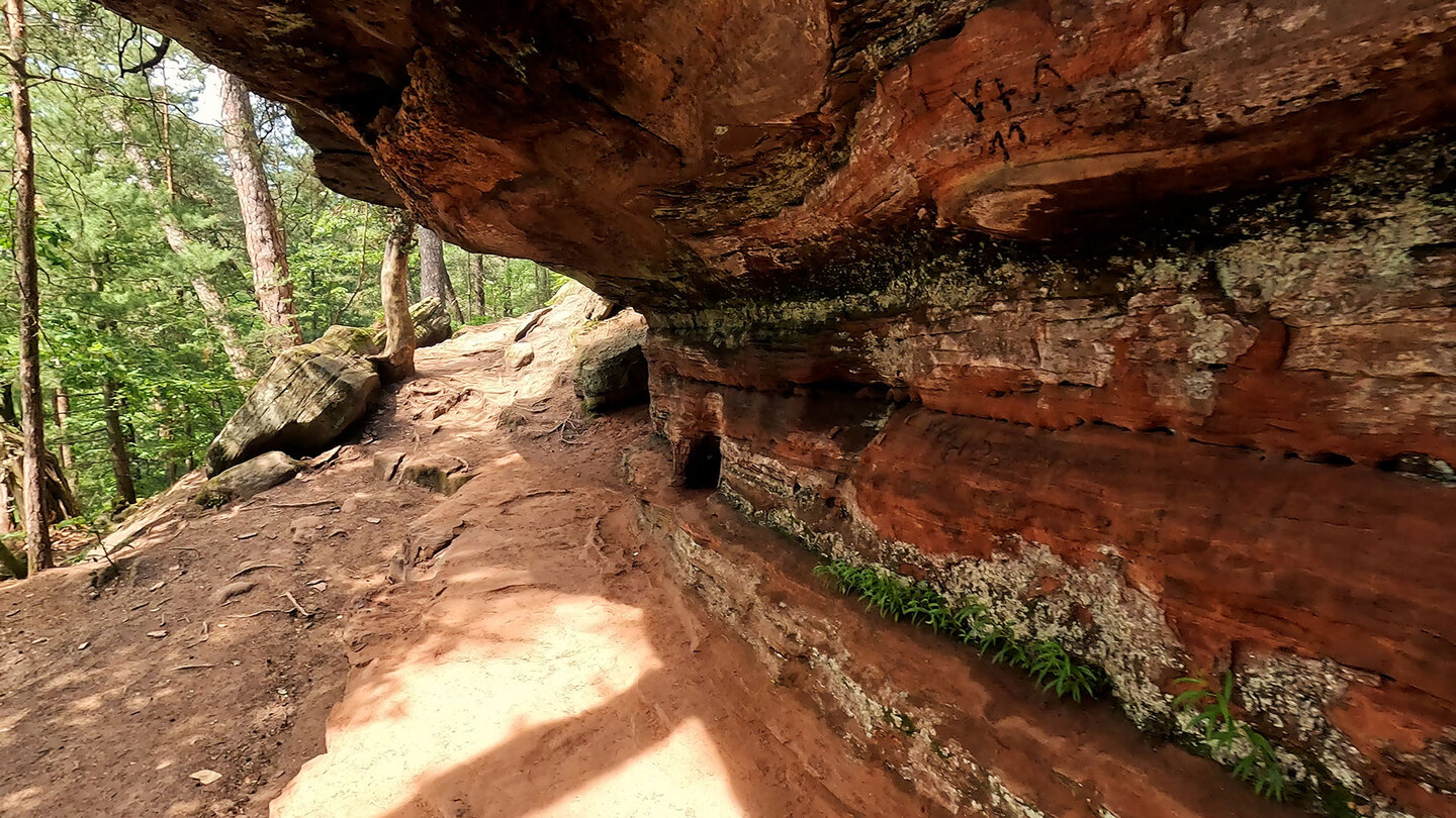 Felsen säumen die Wanderroute entlang der Altschlossfelsen | © Sunhikes