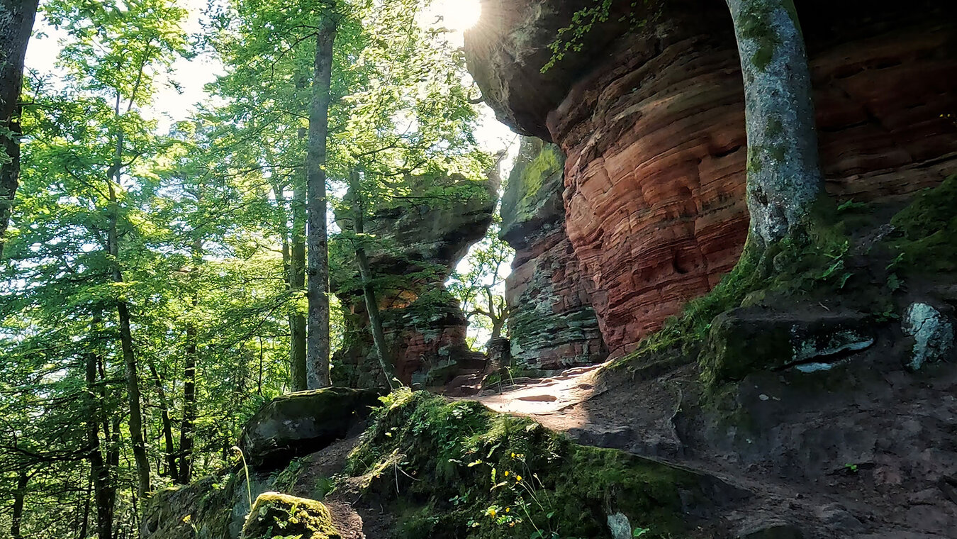 die Sandsteintürme der Altschlossfelsen am Alten Schloss | © Sunhikes
