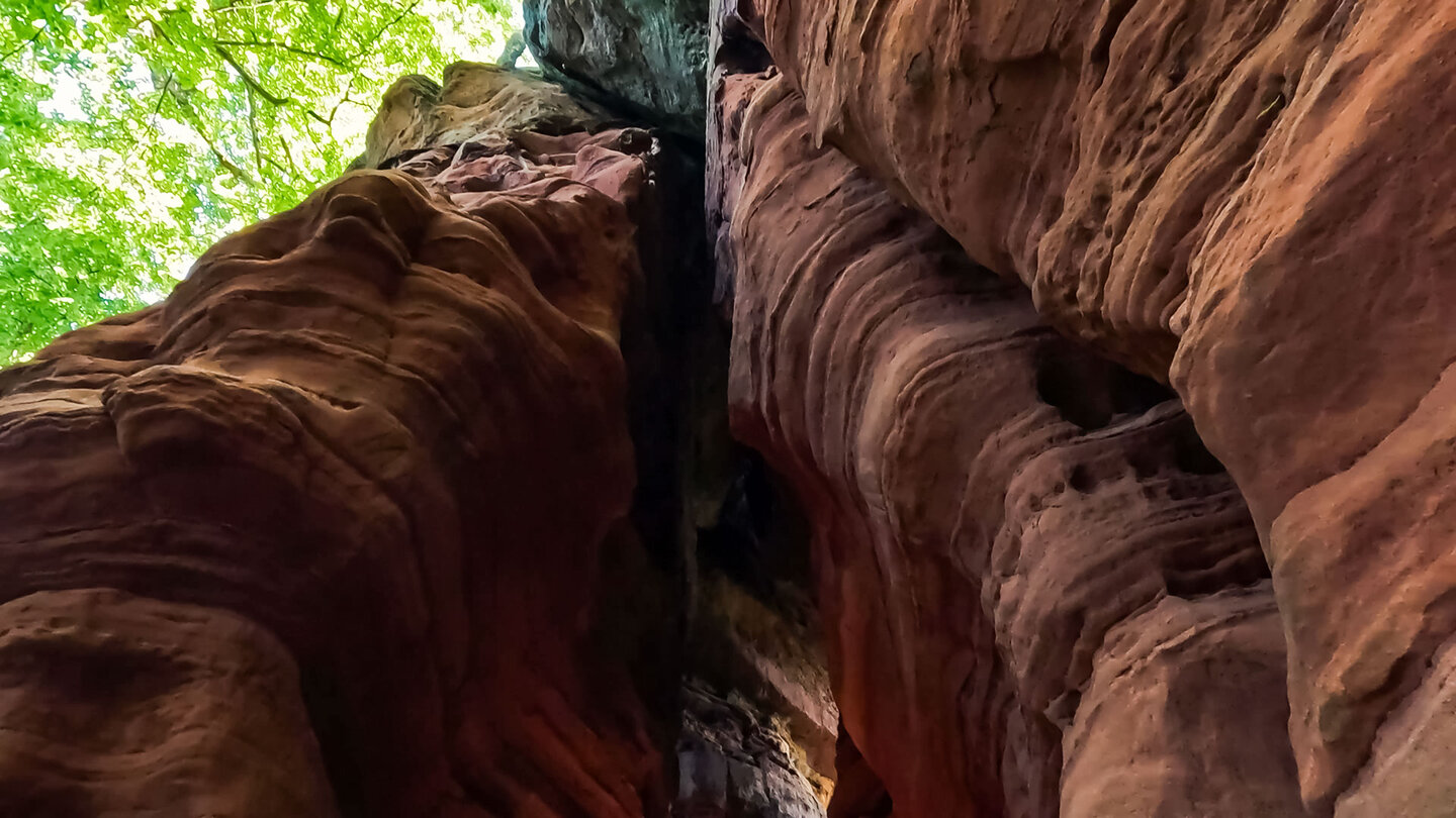verwitterte Felsformationen der Altschlossfelsen | © Sunhikes