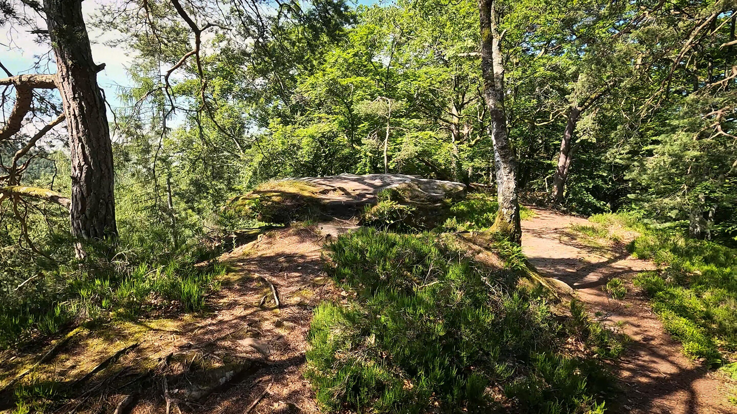 Wanderweg auf den Altschlossfelsen | © Sunhikes