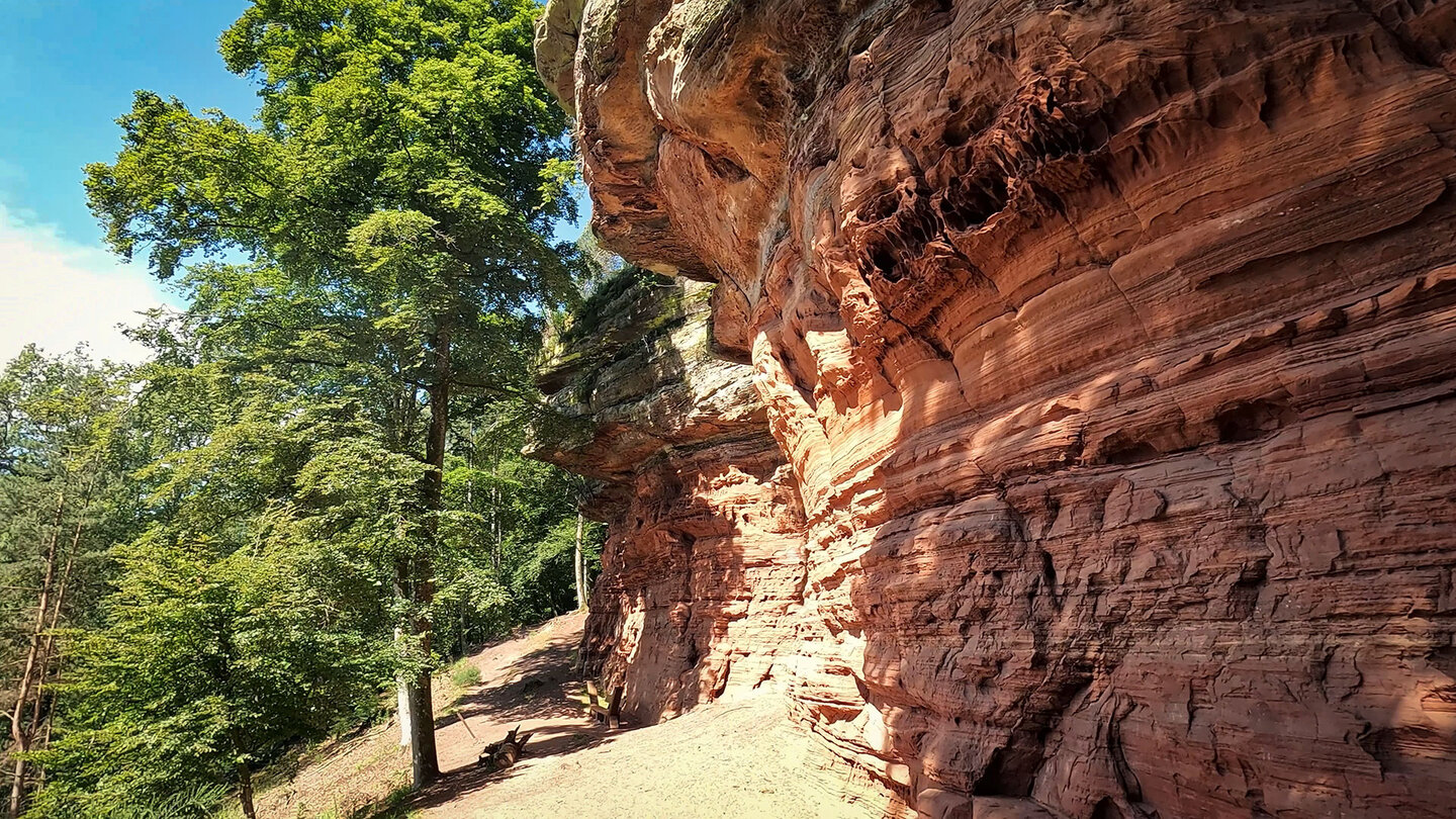 die majestätischen Felswände der Altschlossfelsen | © Sunhikes