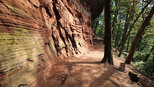 Licht- und Schattenspiel an den Altschlossfelsen | © Sunhikes