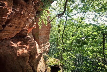 die Altschlossfelsen sind ein beeindruckendes Naturwunder | © Sunhikes