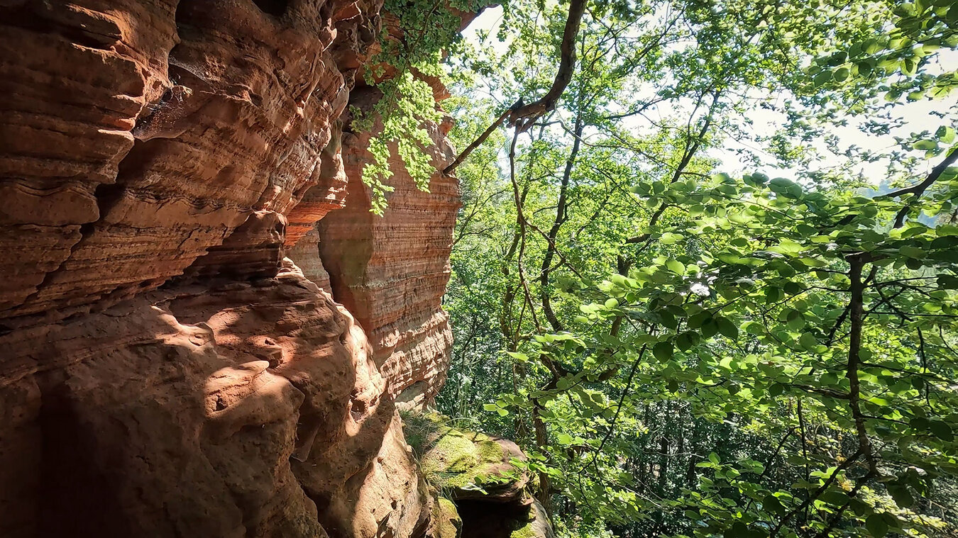 die Altschlossfelsen sind ein beeindruckendes Naturwunder | © Sunhikes