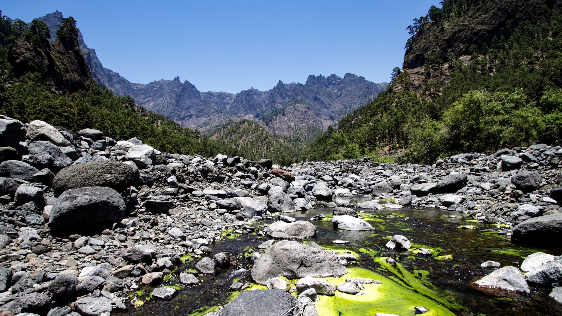 Auf Wanderwegen durch die Caldera de Taburiente | © SUNHIKES