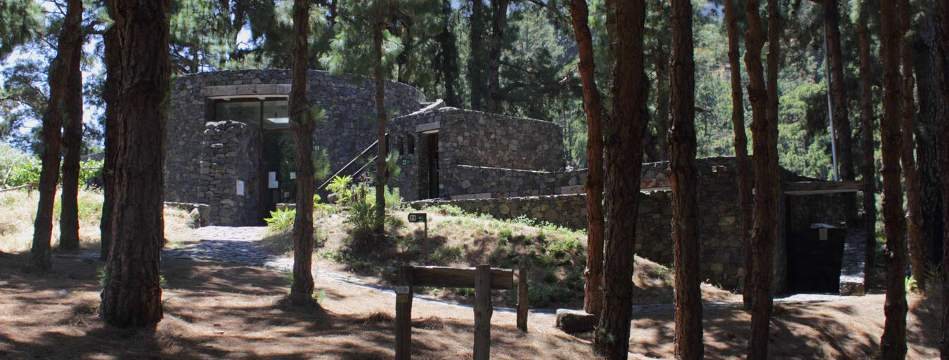 Zona Acampada – der Campingplatz im Nationalpark Caldera de Taburiente | © SUNHIKES