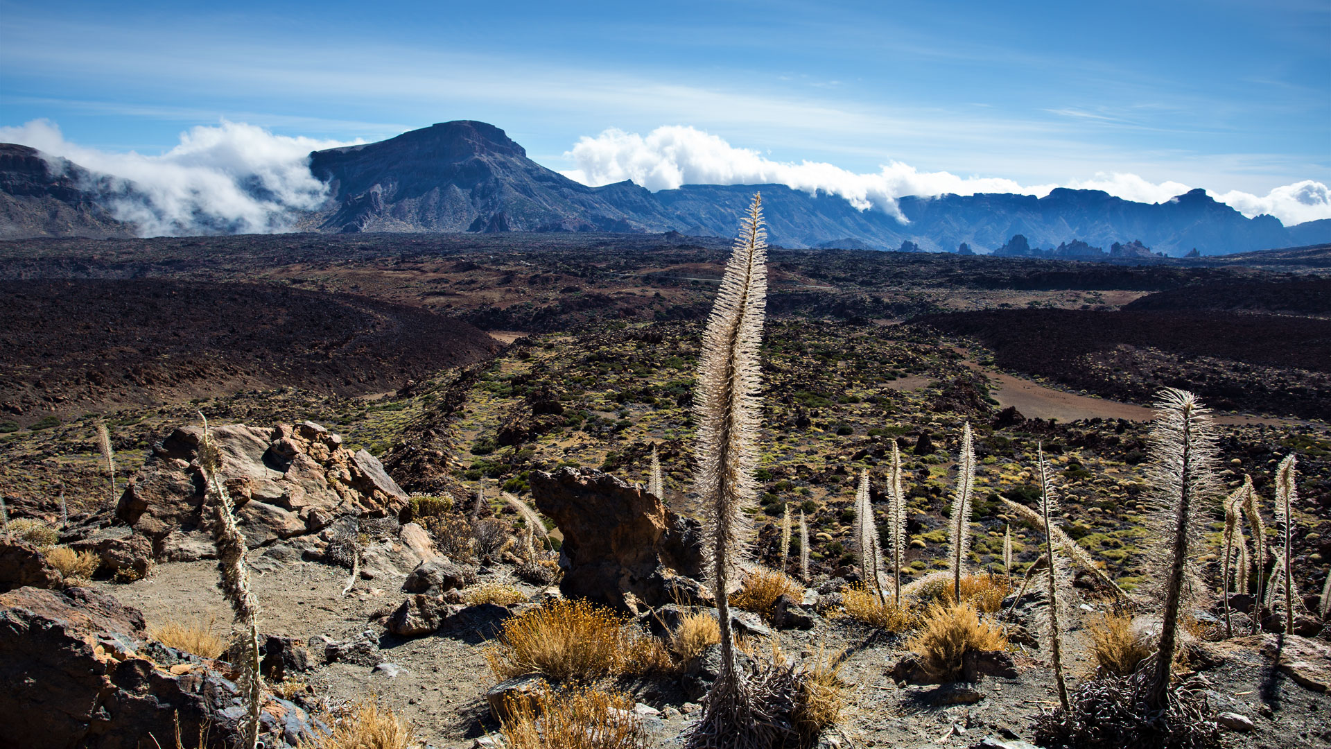 Aussichtspunkt Mirador del Tabonal Negro | © SUNHIKES