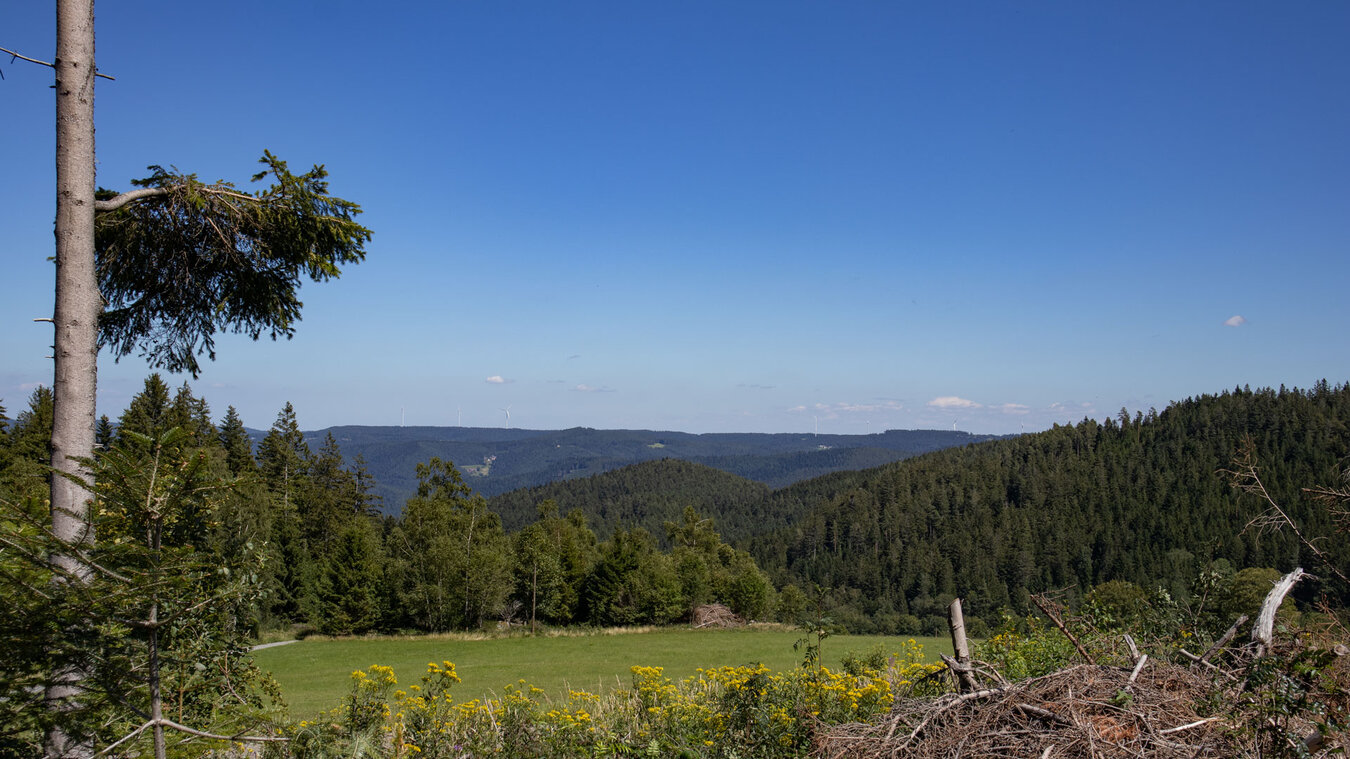 weites Panorama am Westweg zwischen Hausach und Wilhlemshöhe | © Sunhikes