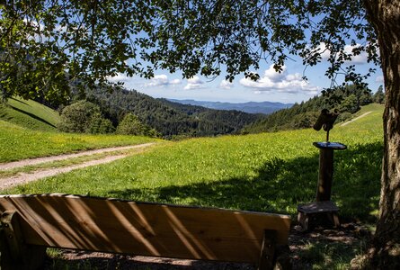 wunderbare Aussicht von der Harkhöhe | © Sunhikes