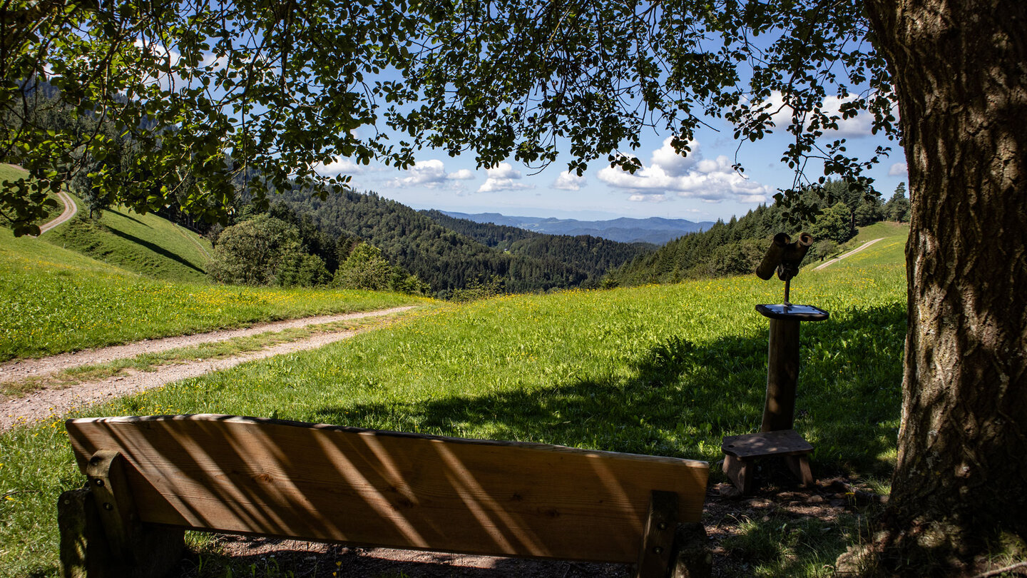 wunderbare Aussicht von der Harkhöhe | © Sunhikes