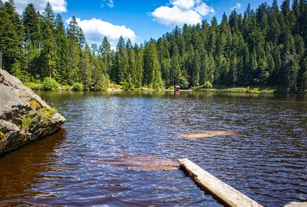der Glaswaldsee im Mittleren Schwarzwald | © Sunhikes